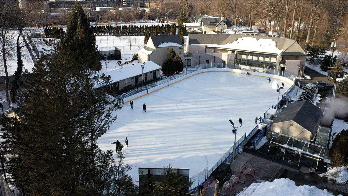 rink